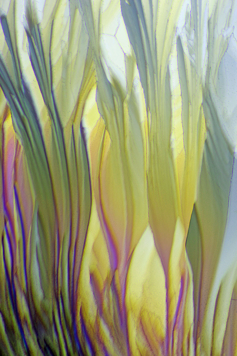 NOTES FROM THE STUDIO/LAB-Photography of Crystals: Encounters with Art and Science  -February 2023