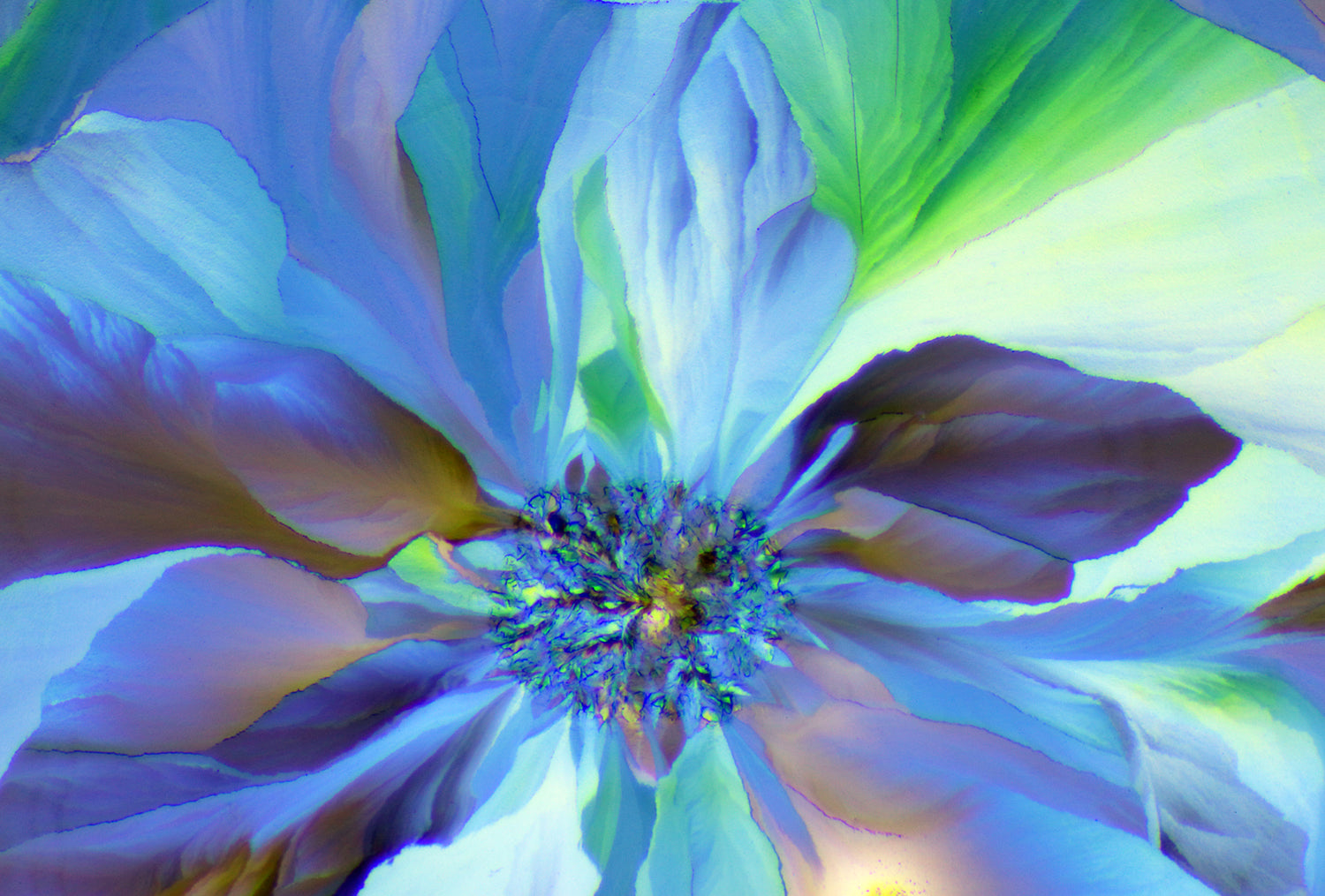 "Blue Reverie" -Photograph of crystalline acetaminophen found in Tylenol®