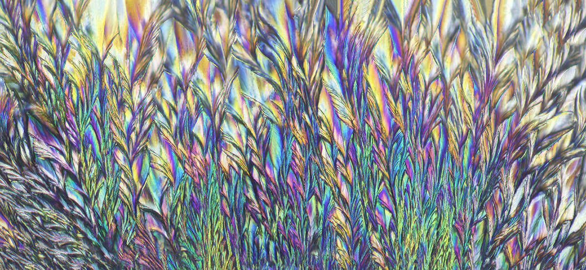 "ODE TO JOY" -Photograph of crystalline acetaminophen found in Tylenol