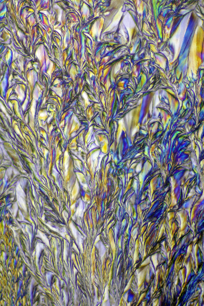 "BEJEWELED" -Photograph of crystalline acetaminophen found in Tylenol®