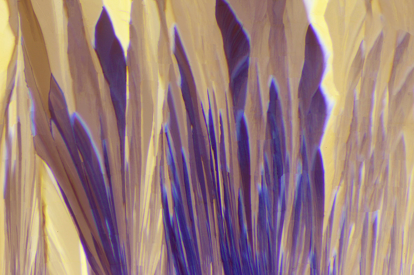 "TOUCH OF BLUE" -Photograph of crystalline tartaric acid found in wine