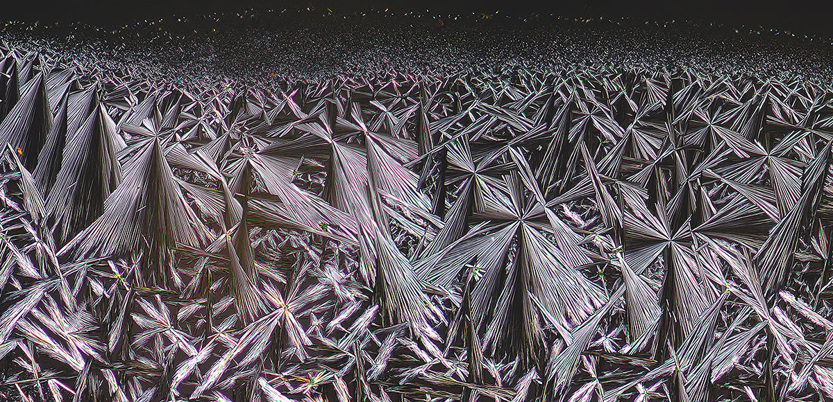 "CAFFEINE 6am" -Photograph of crystalline caffeine found in coffee
