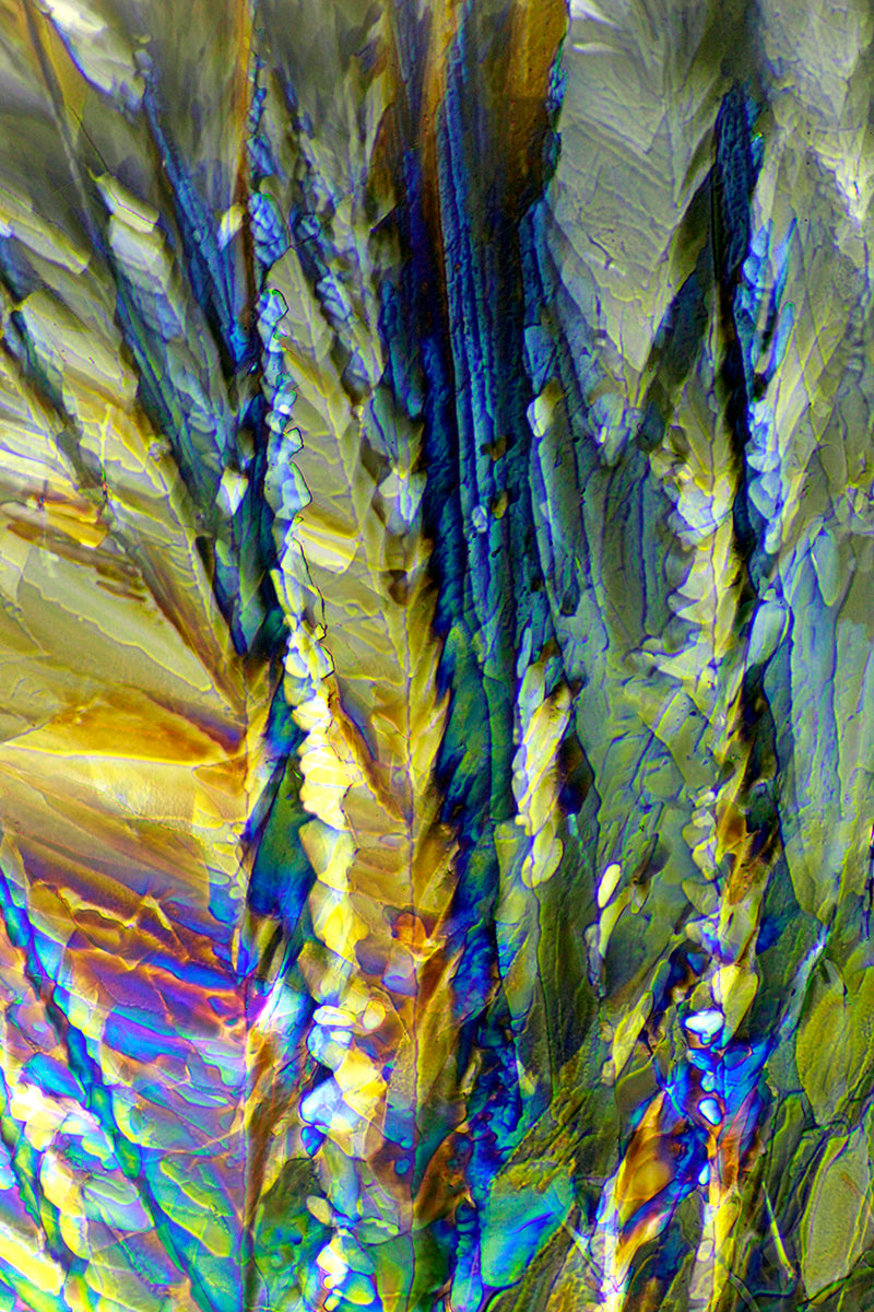 "ENCHANTMENT" -Photograph of crystalline tartaric found in wine