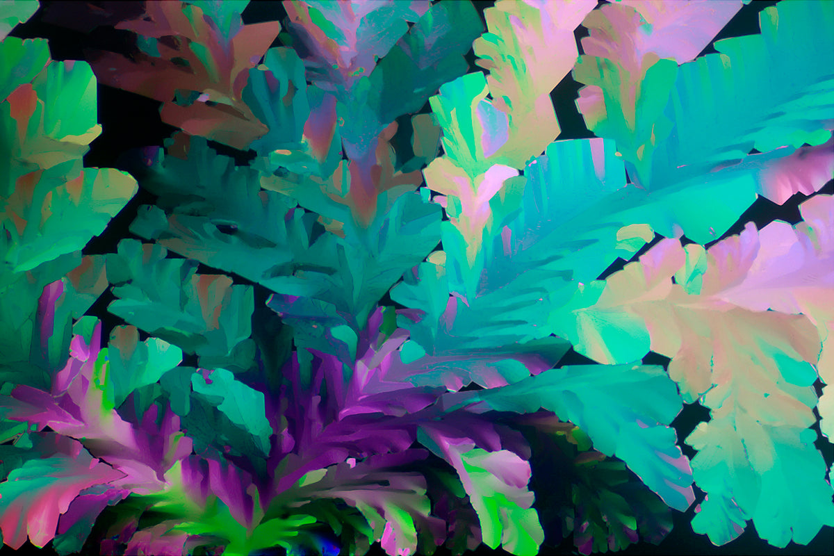 "FANTASIA" -Photograph of crystalline THC found in cannabis