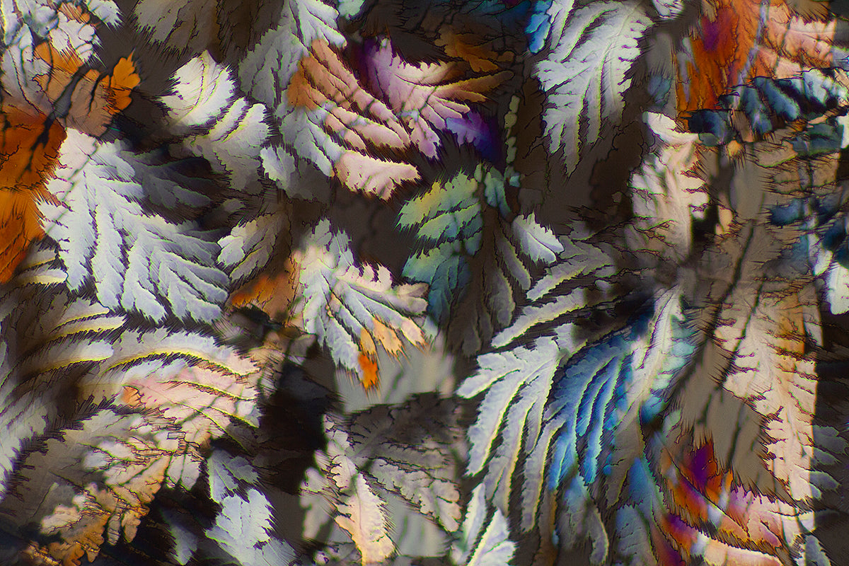 "HARVEST TIME" - Photograph of crystalline resveratrol found in wine