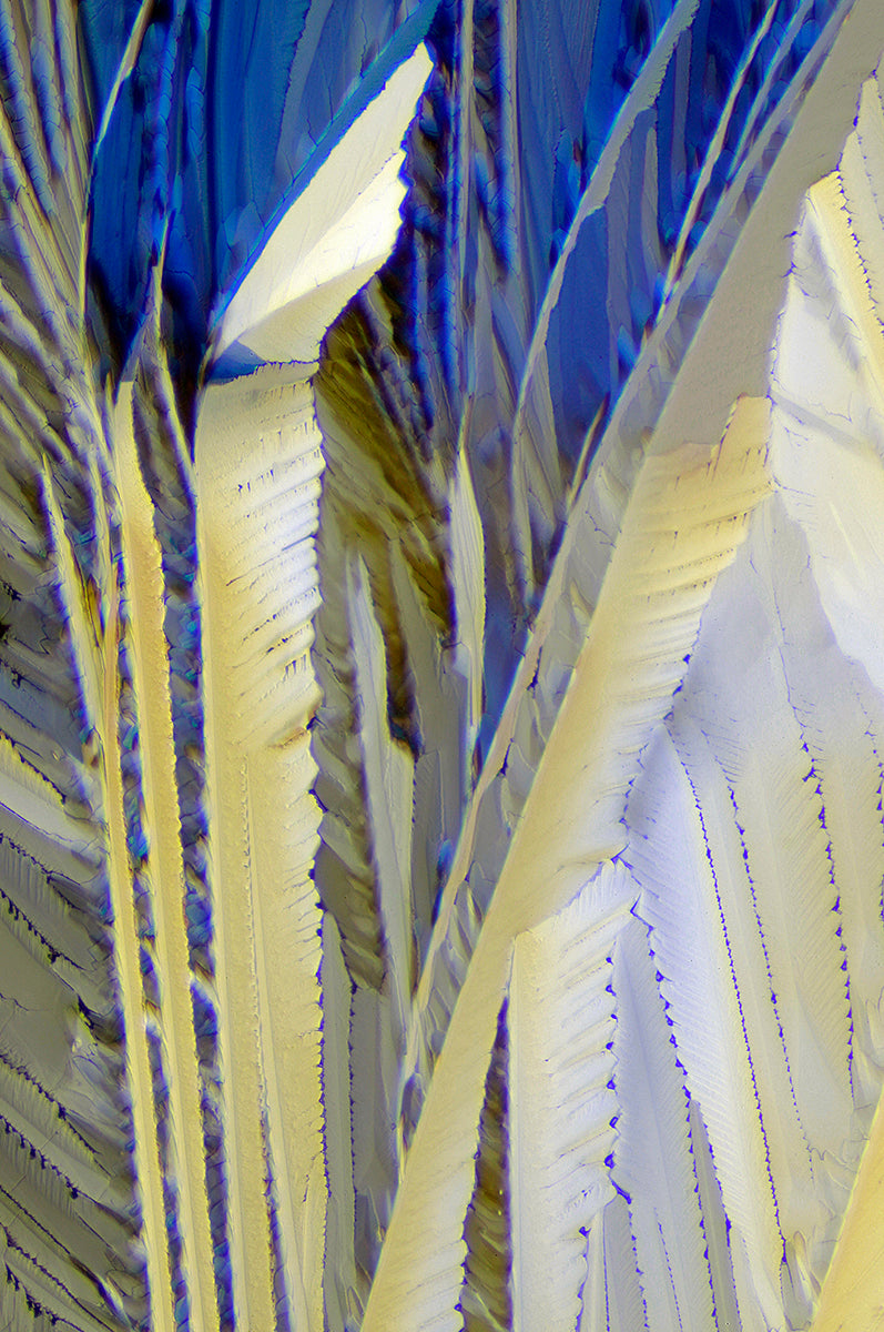 "INDIGO" -Photograph of crystalline citric acid found in citrus fruit