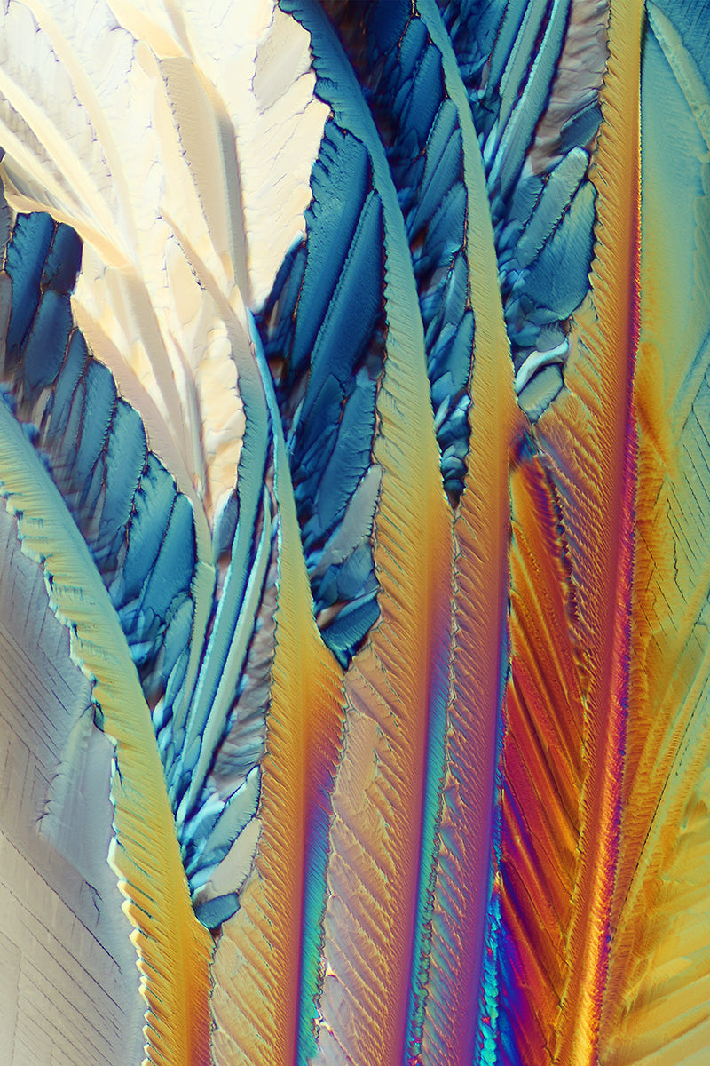 "INNOCENCE LOST" -Photograph of crystalline citric acid found in citrus fruit