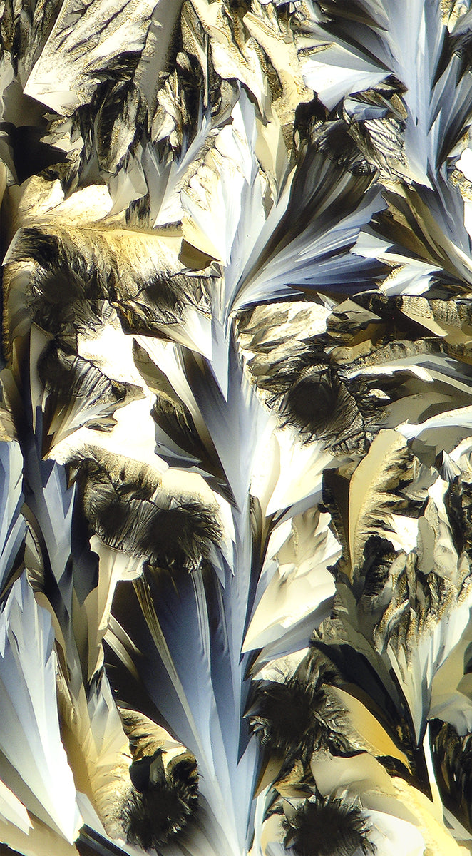 "IRIS" -Photograph of crystalline acetaminophen found in Tylenol