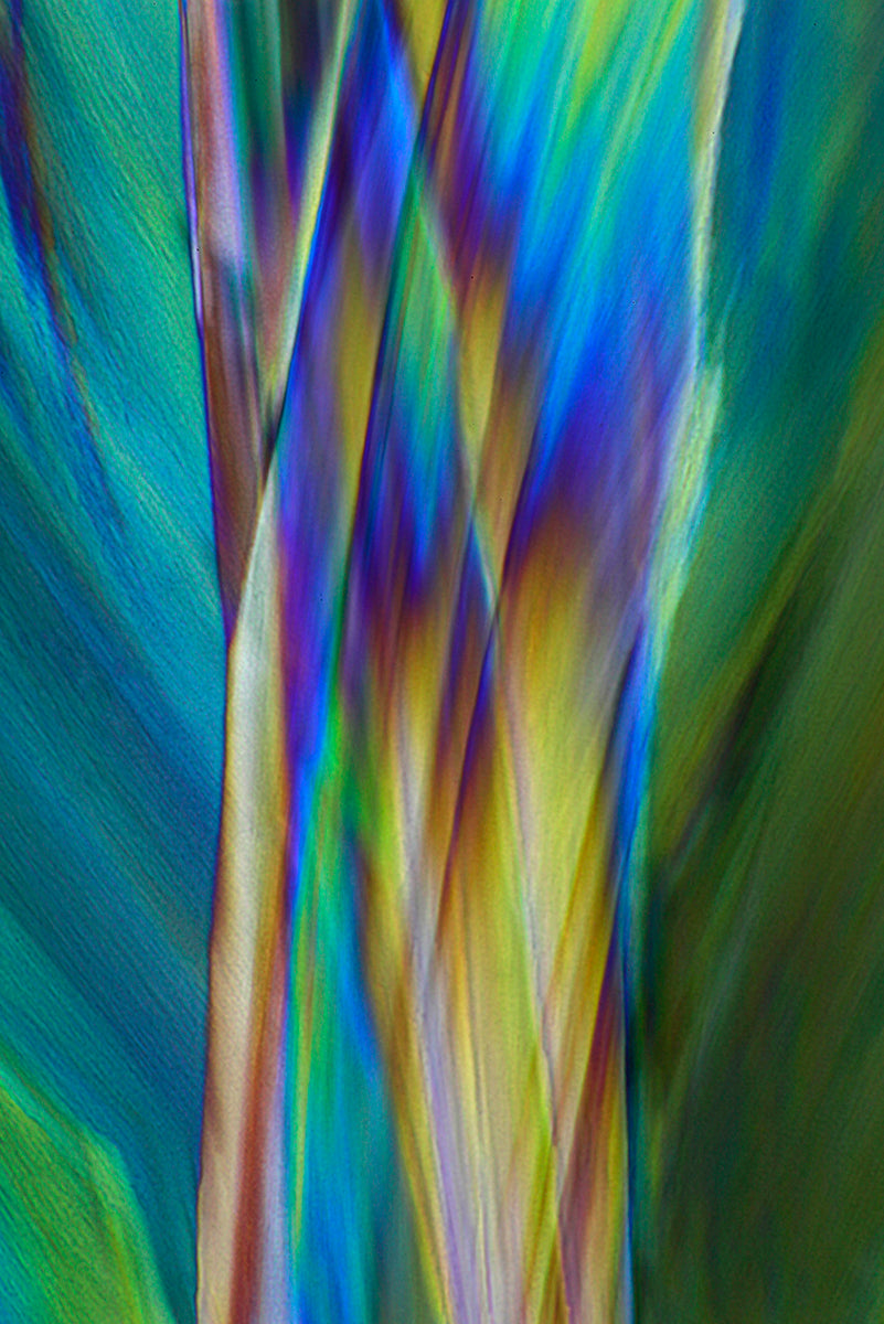 "JUBILATION" -Photograph of crystalline dimethylaminoethanol (DMAE)