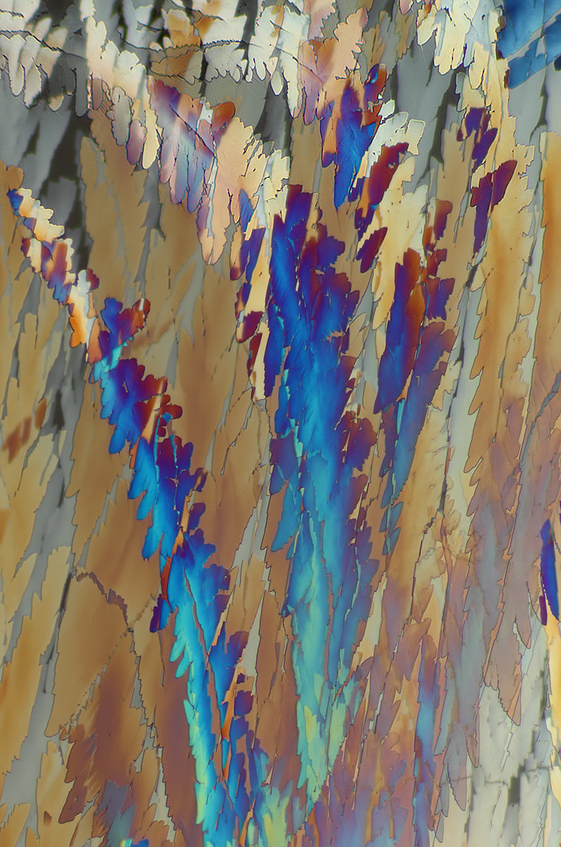 "LA BODEGA" -Photograph of crystalline resveratrol found in wine