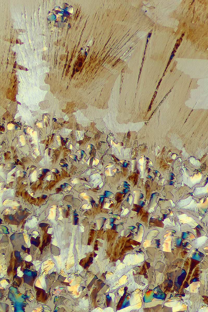 "MEADOWLAND 1" -Photograph of crystalline acetaminophen found in Tylenol®