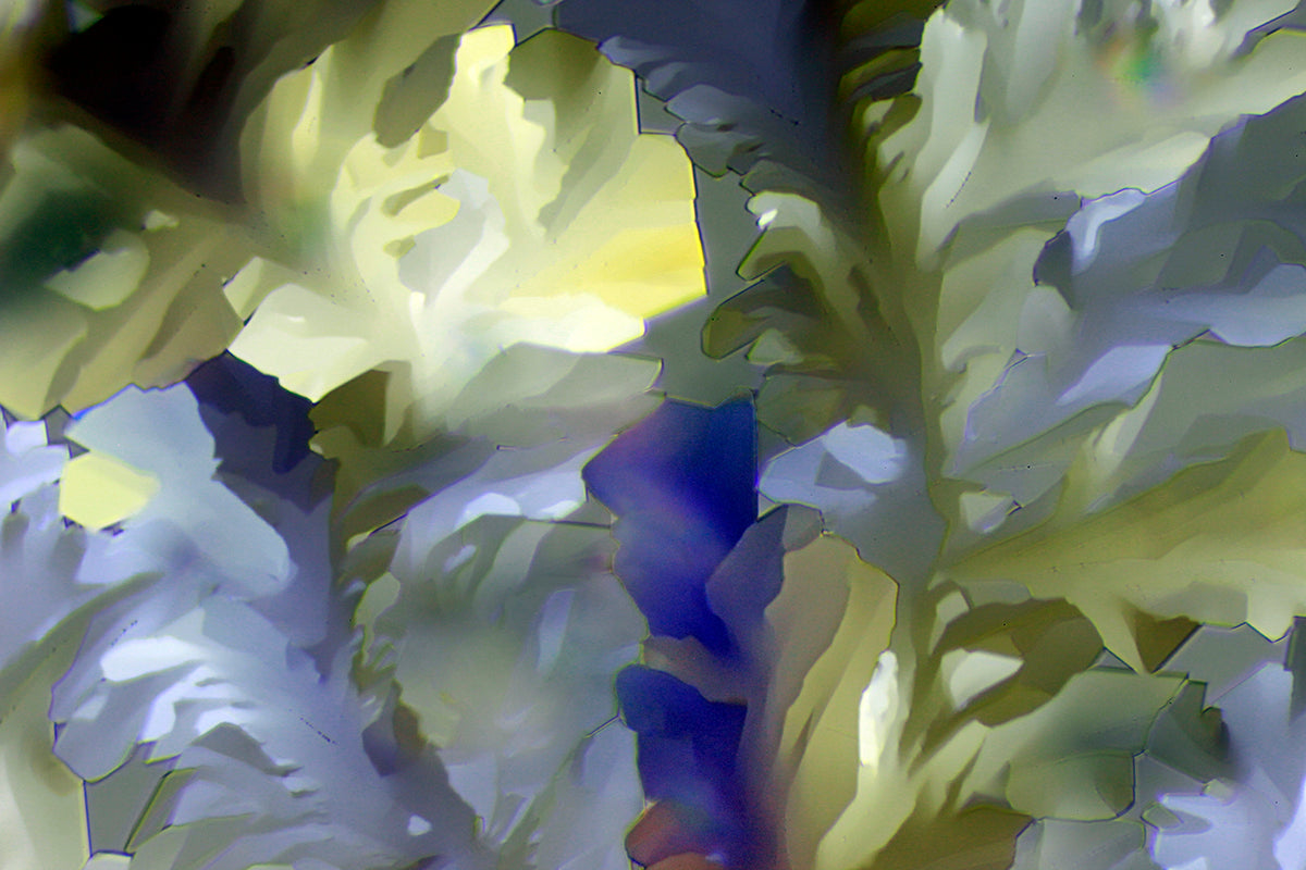 "PEACE" -Photograph of crystalline THC found in cannabis