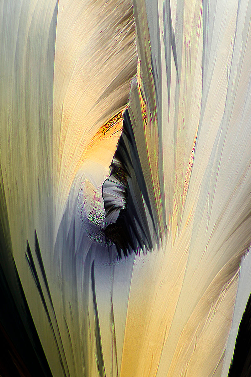 "MYSTIQUE" -Photograph of crystalline acetaminophen found in Tylenol®