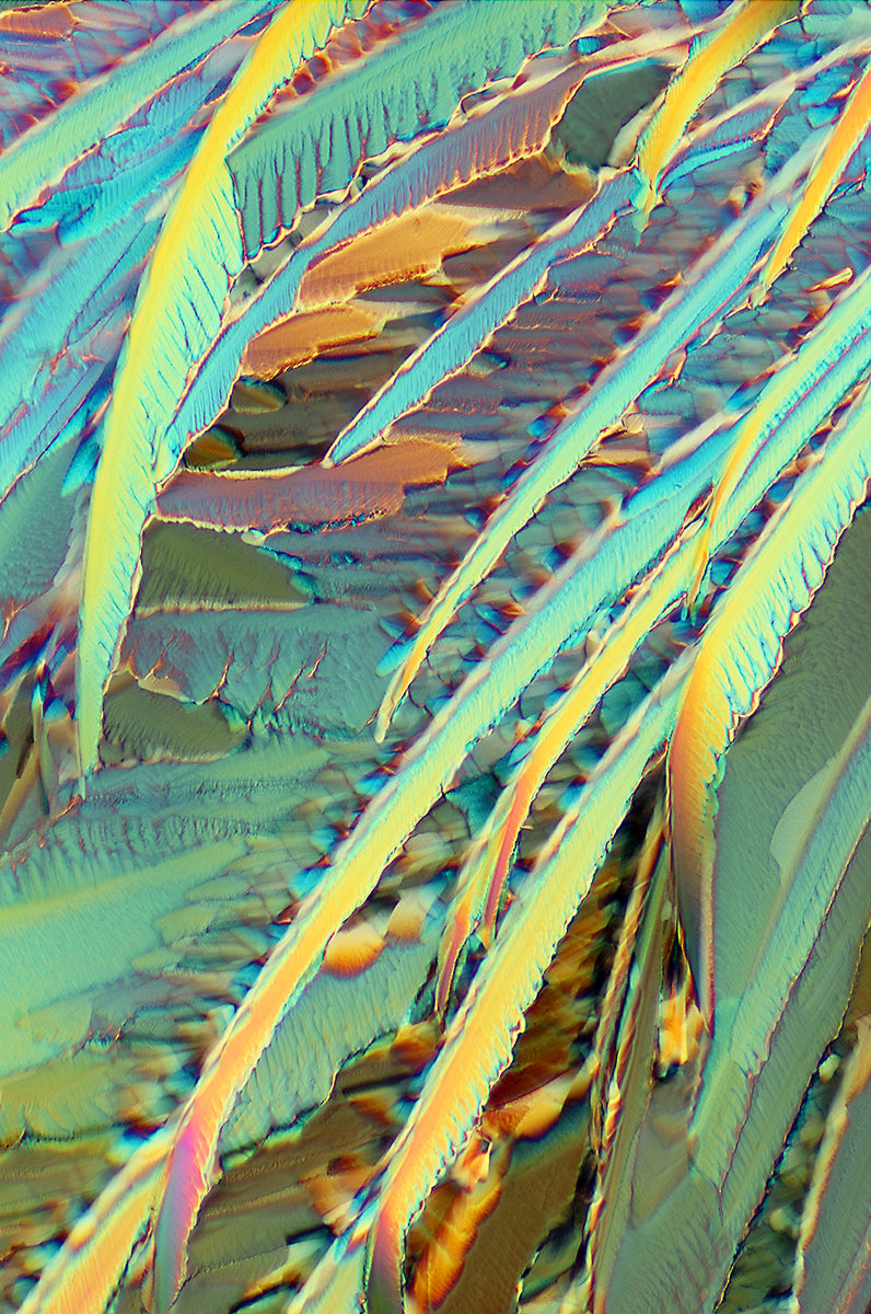 "OASIS" -Photograph of crystalline citric acid found in citrus fruit