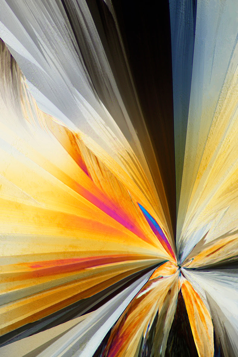 "PLUMERIA" -Photograph of crystalline acetaminophen found in Tylenol®