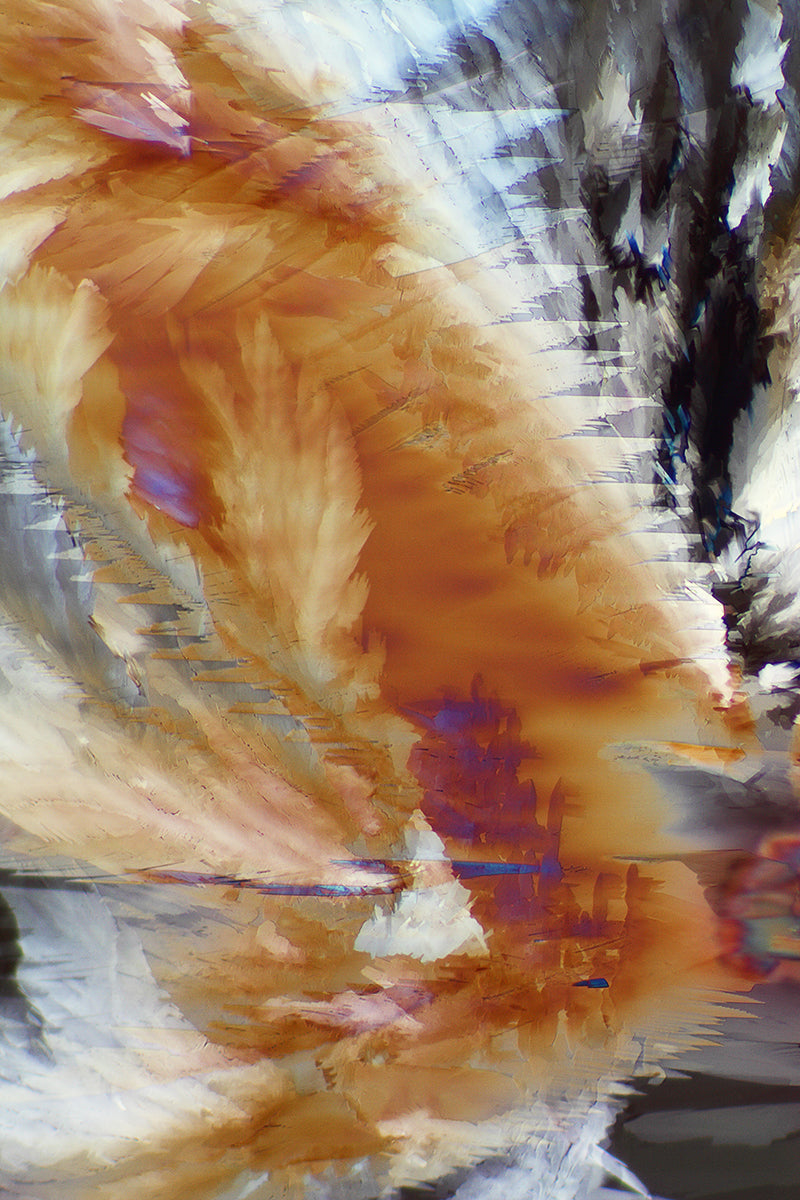 "REFLECTION" -Photograph of crystalline resveratrol found in wine