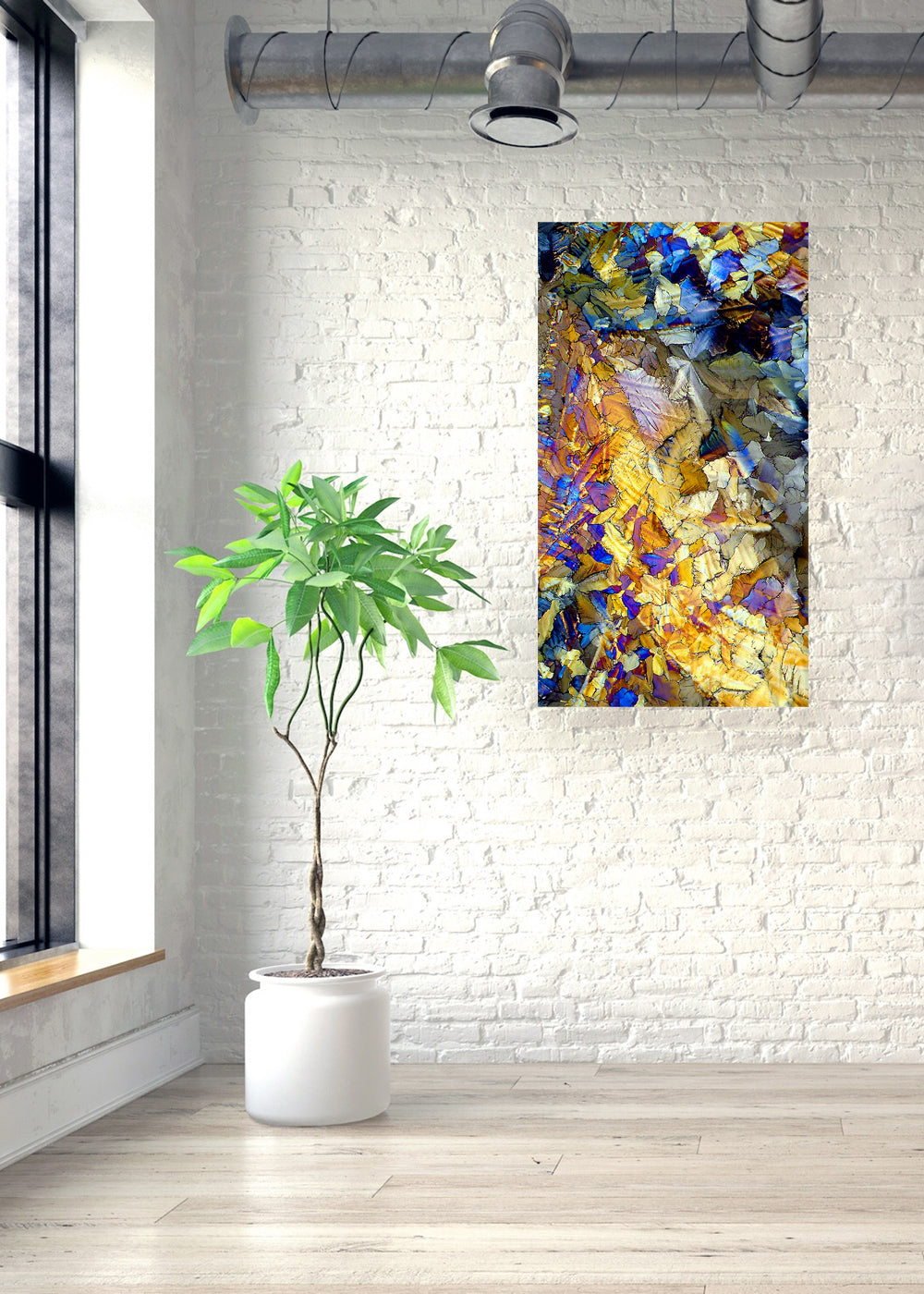 "SANCTUARY" -Photograph of crystalline citric acid found in citrus fruit