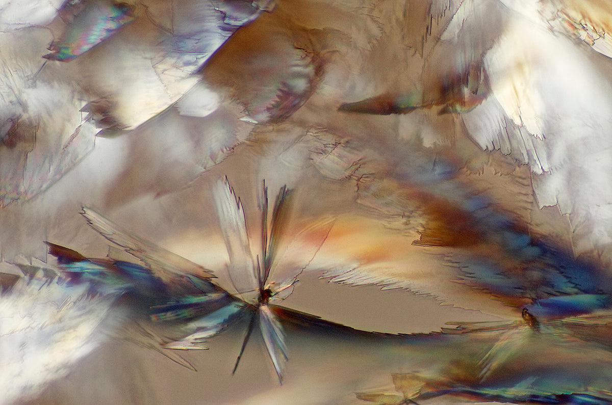 "TU FAMILIA" -Photograph of crystalline resveratrol found in wine