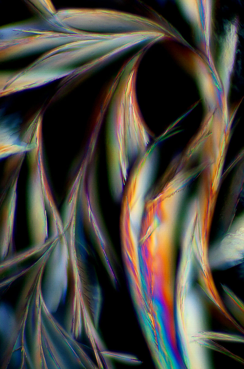 "WHISPERS" -Photograph of crystalline resveratrol found in wine