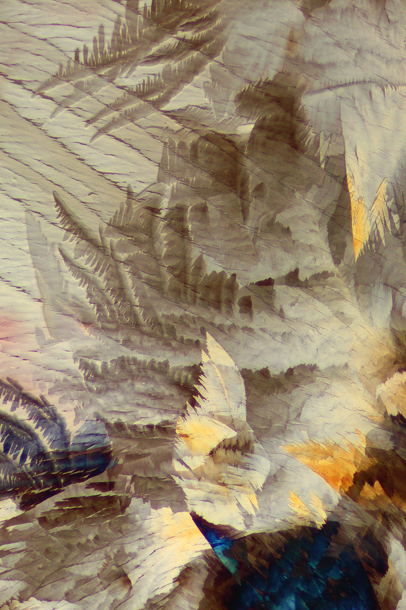 "WOODLAND CHATEAU" -Crystalline resveratrol found in wine