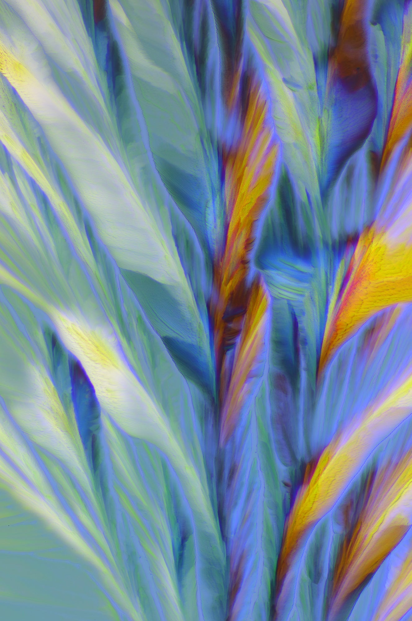 NOTES FROM THE STUDIO/LAB | Photography of Crystals | March 2026