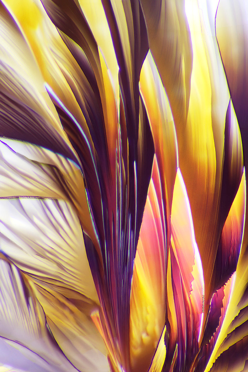 NOTES FROM THE STUDIO/LAB -Photography of Crystals: Encounters with Art and Science -May 2023