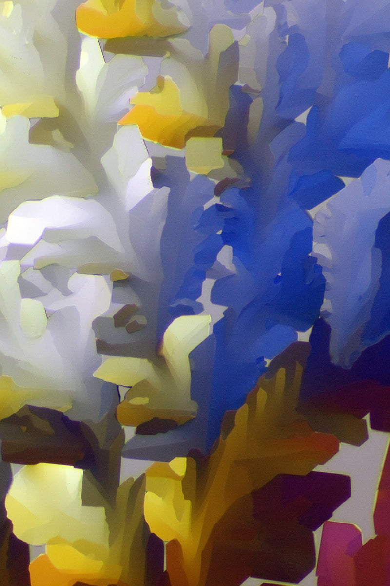 NOTES FROM THE STUDIO/LAB -Photography of Crystals: Encounters with Art and Science July 2025
