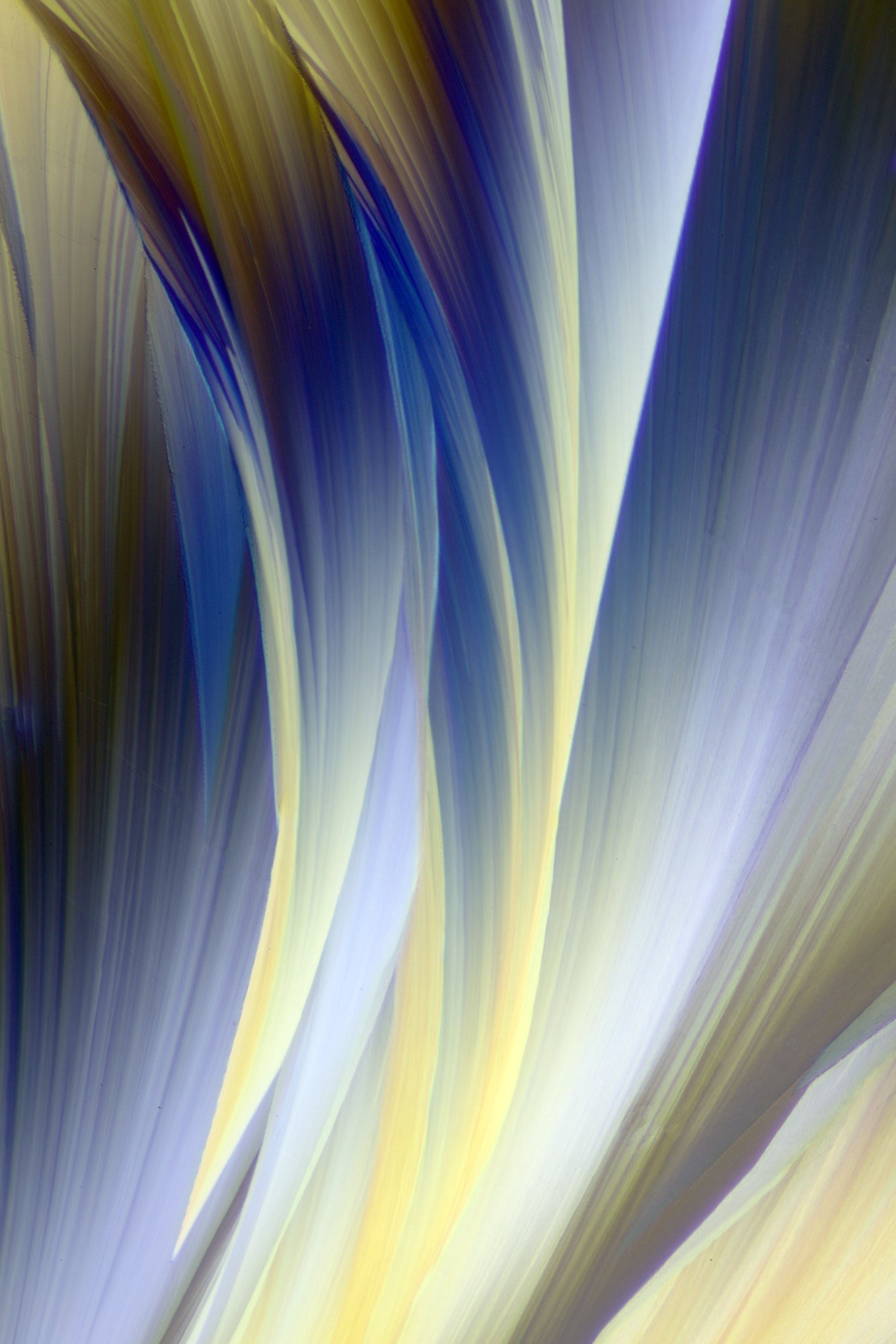 NOTES FROM THE STUDIO/LAB -Photography of Crystals  Encounters with Art and Science -December 2025