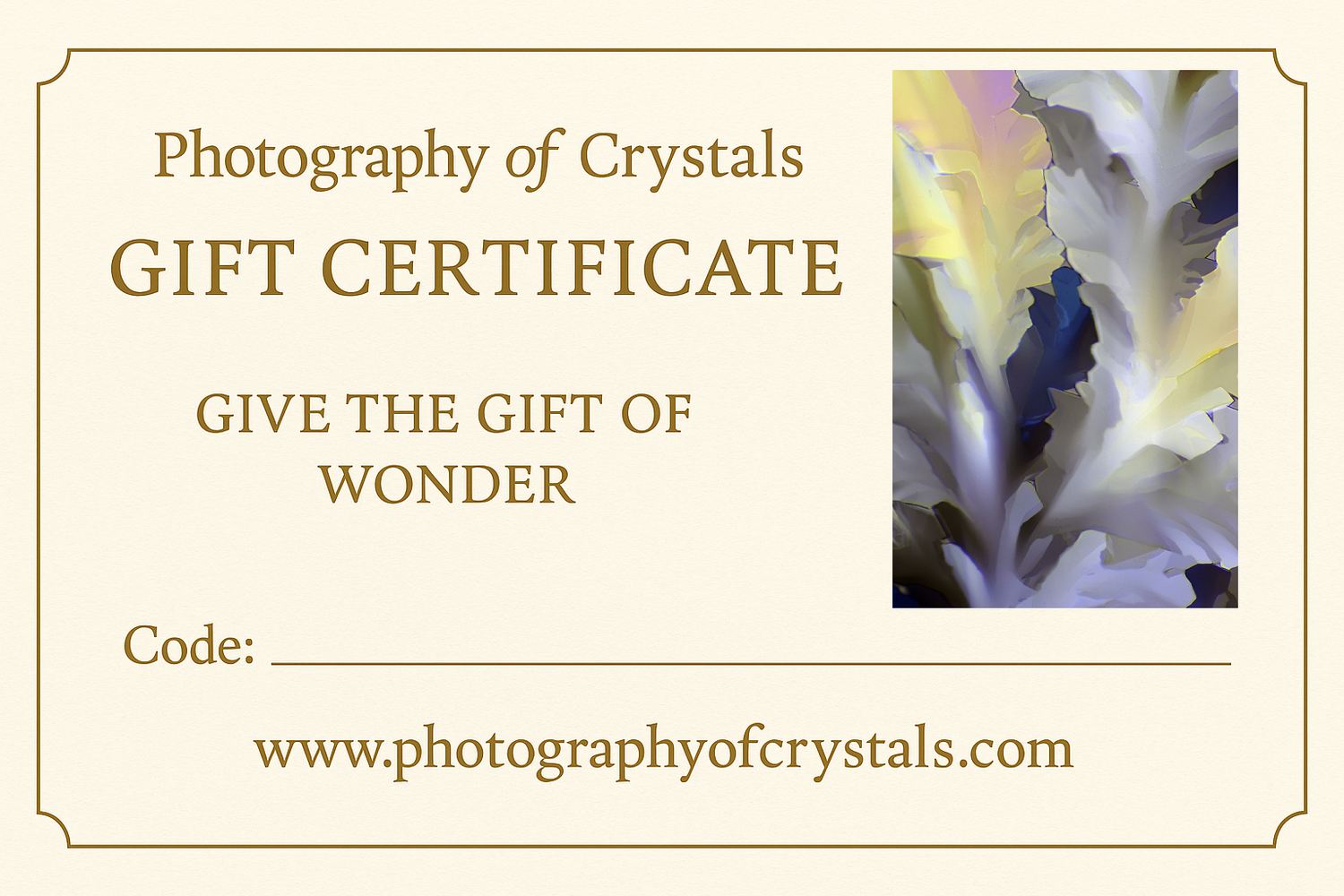 Gift Certificate