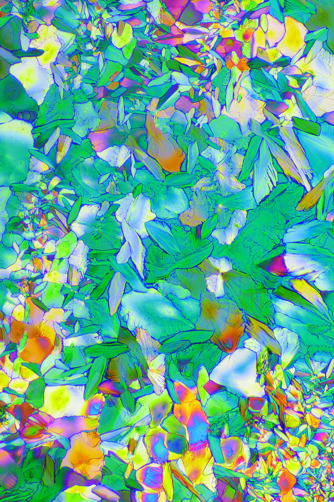 "GENESIS" -Photograph of crystalline acetaminophen