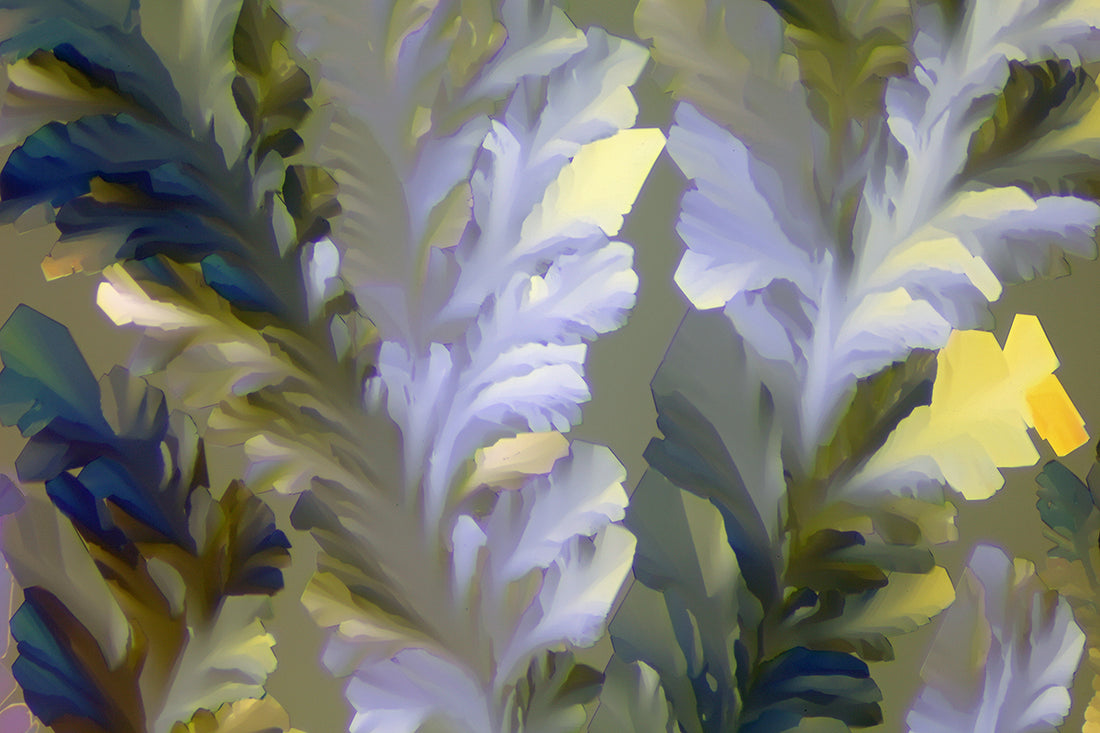 &quot;BOTANICA&quot; -Photograph of crystalline THCA