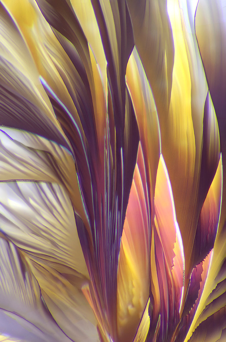 "EARTHLY DELIGHTS" - Photograph of crystalline tartaric found in wine