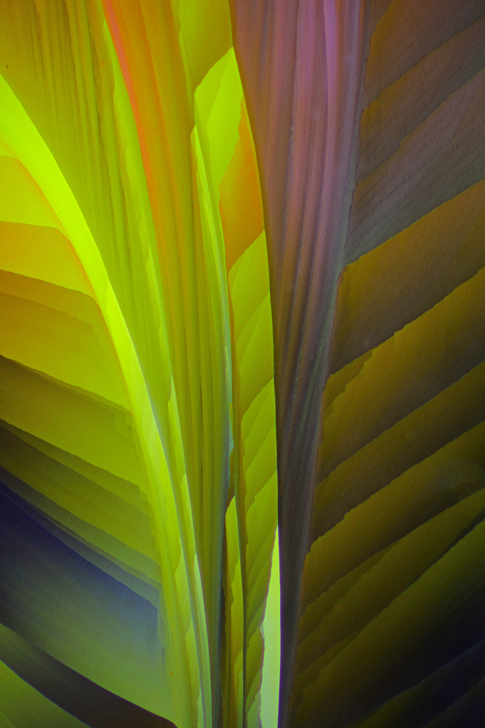 " A NEW LEAF" – Wine Crystal Wall Art in Bright Spring Greens