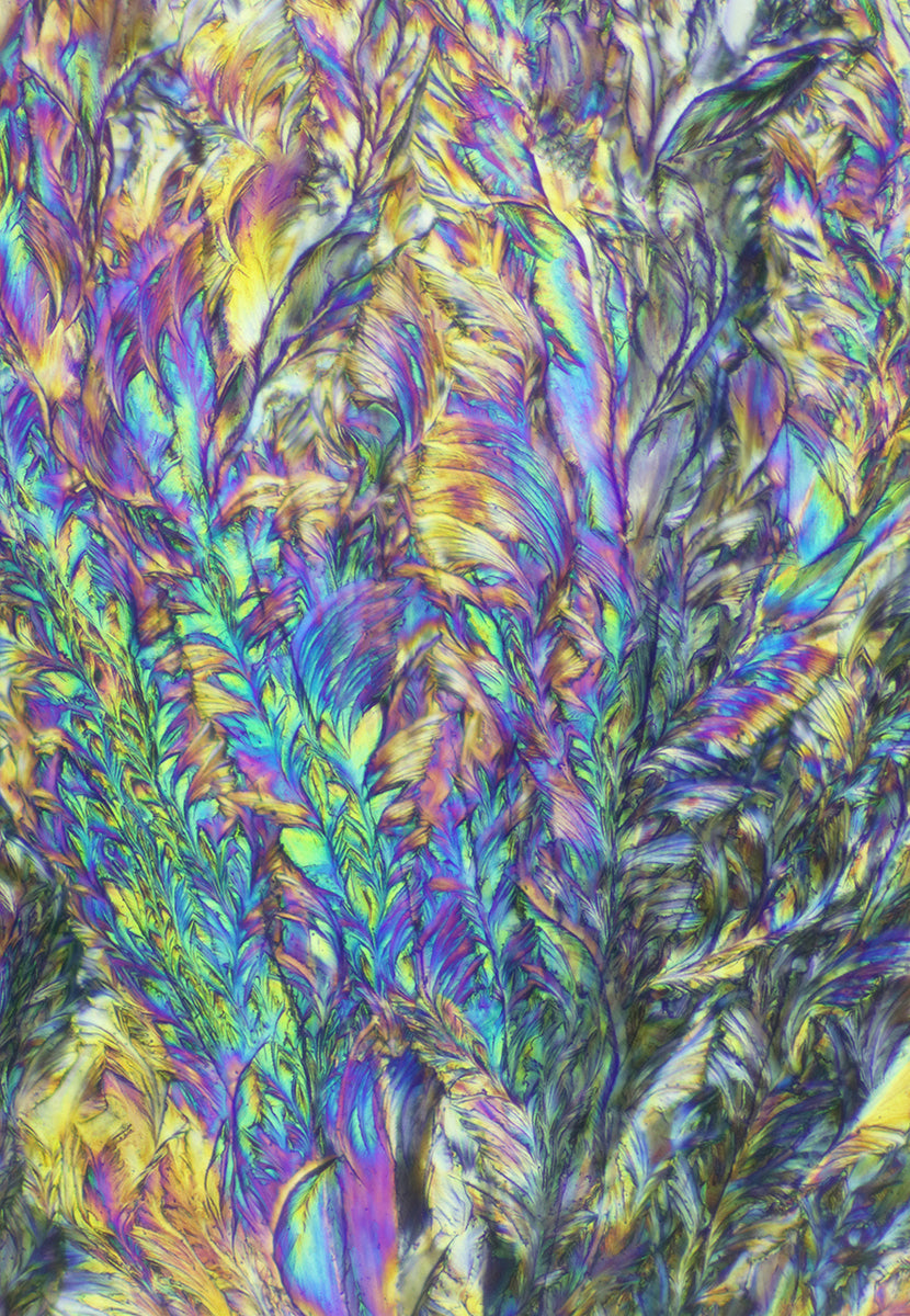 "SYNESTHESIA" -Photograph of crystalline acetaminophen found in Tylenol®
