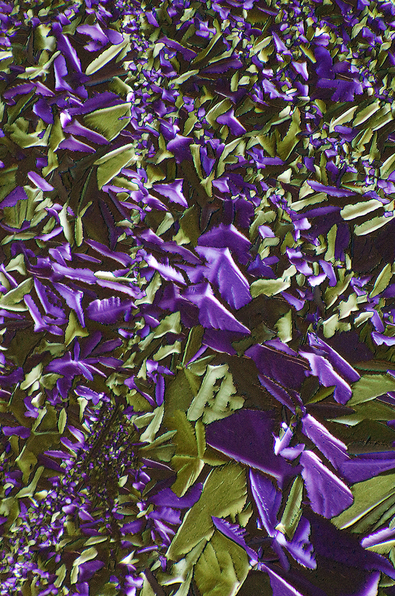 &quot;Vignette&quot; -Photograph of crystalline tartaric found in wine