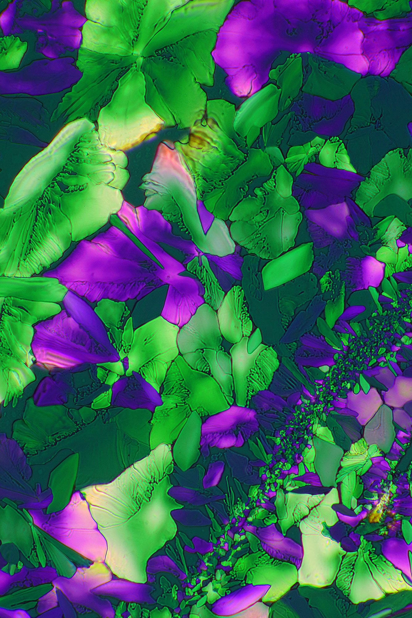 "CRYSTAL VIOLET" -Photograph of crystalline acetaminophen