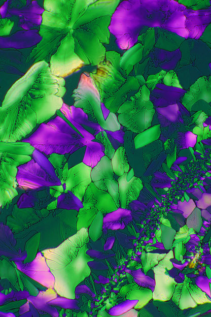 "CRYSTAL VIOLET" -Photograph of crystalline acetaminophen
