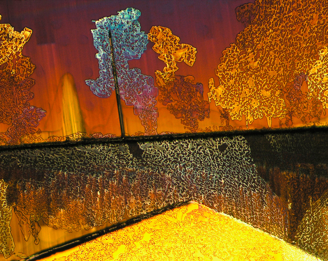 Autumn photograph of crystalline citric acid