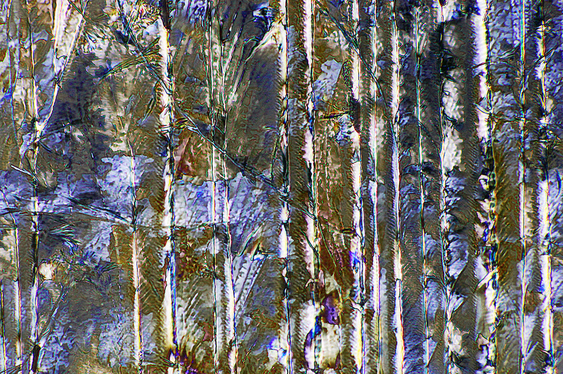 "BIRCH TREES" -Photograph of crystalline acetaminophen and salicylic acid