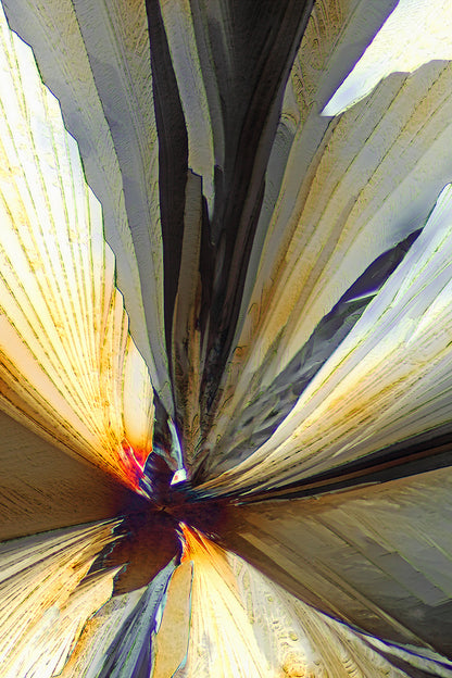 photograph of crystalline acetaminophen Blossom