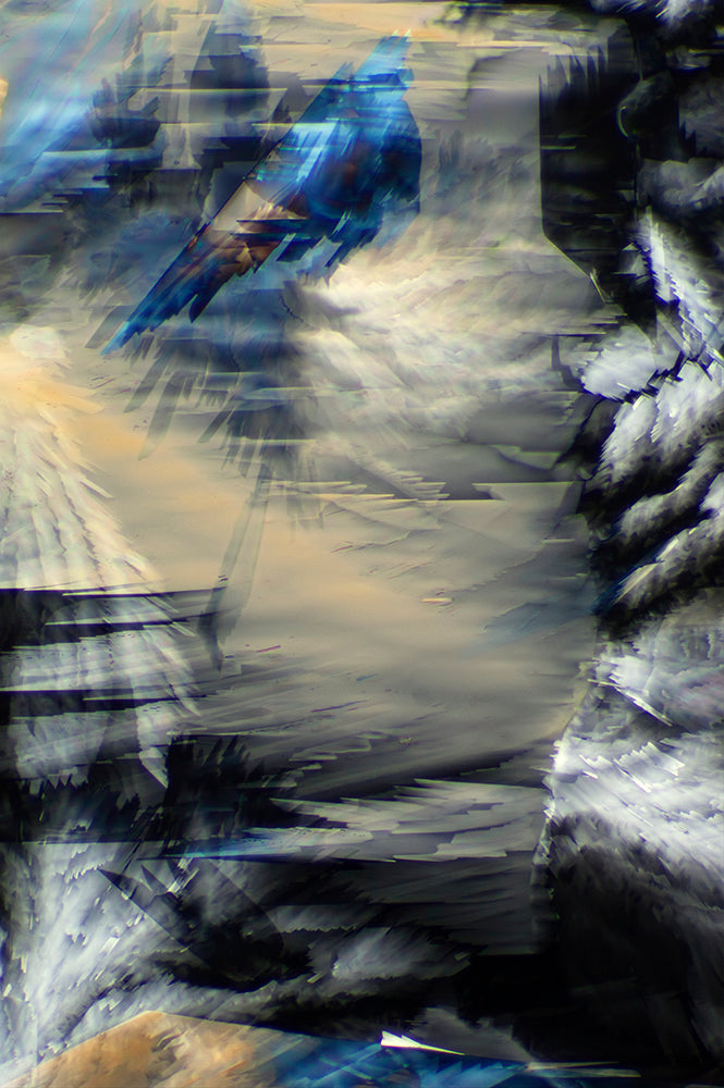 "BLUE RONDO" -Photograph of crystalline resveratrol from wine