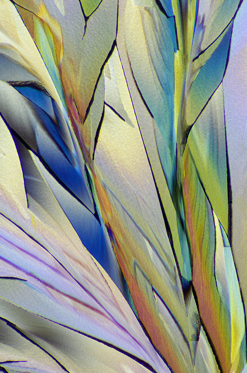 "BREATHLESS" - Photograph of crystalline tartaric found in wine