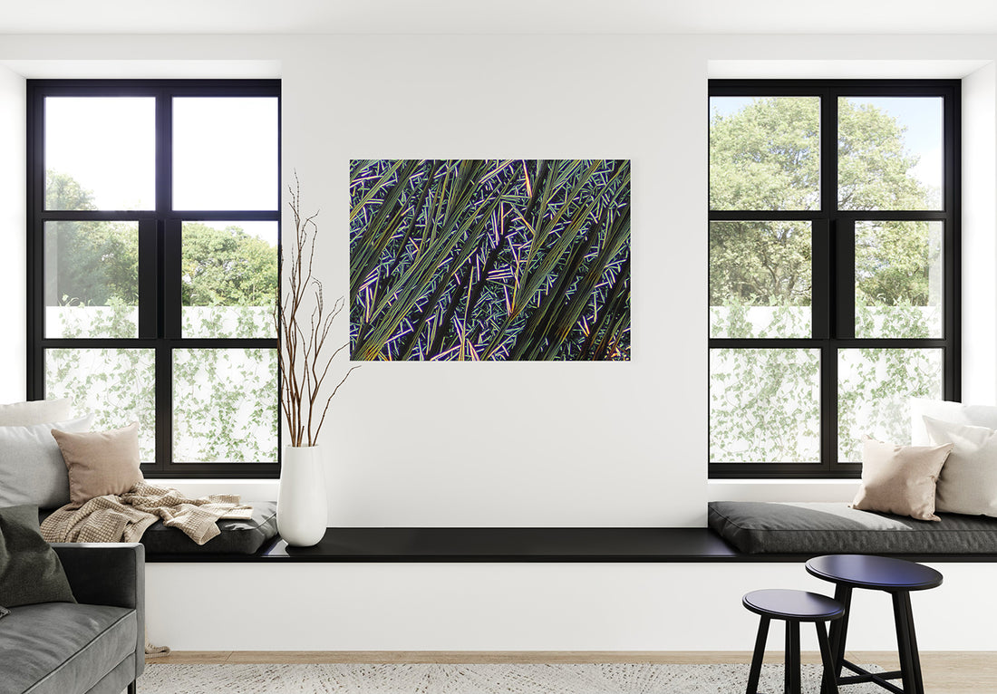 "CAFFEINE 12pm" -Photograph of crystalline caffeine found in coffee