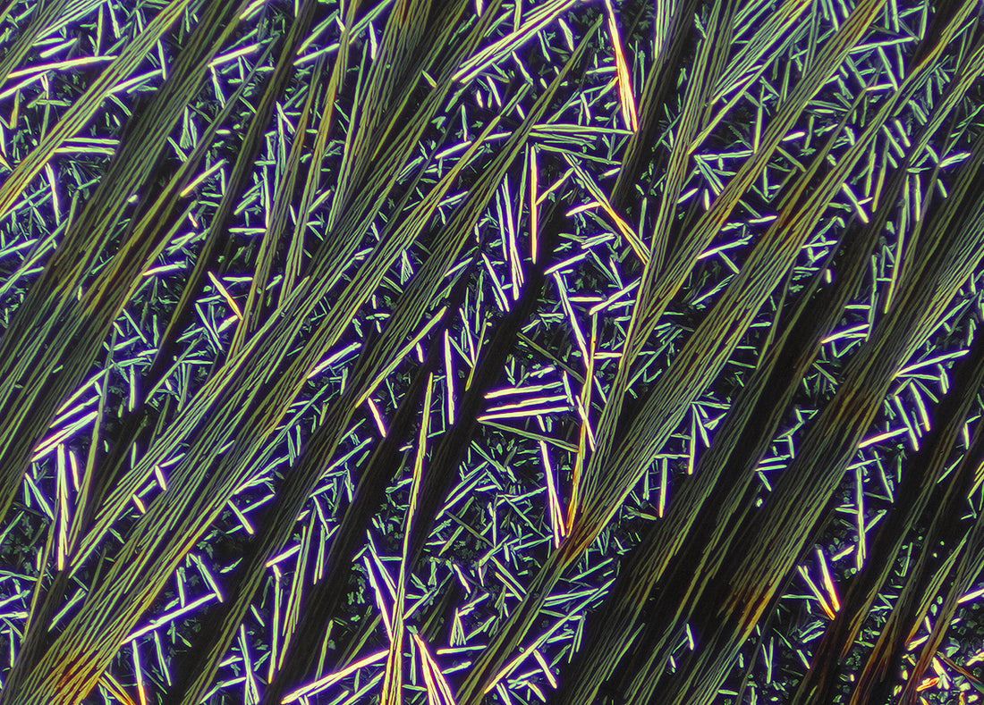 "CAFFEINE 12pm" -Photograph of crystalline caffeine found in coffee