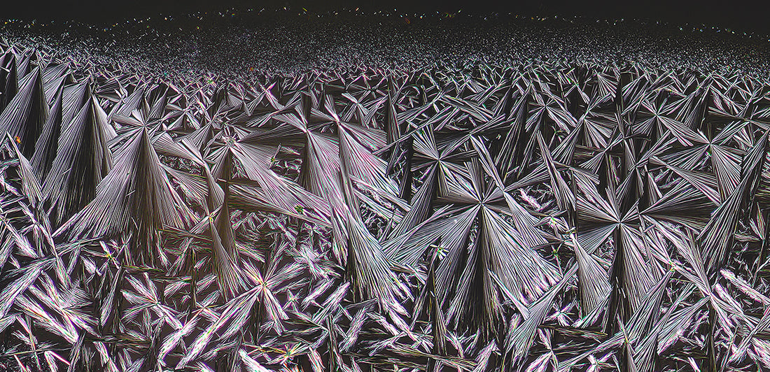 "CAFFEINE 6am" -Photograph of crystalline caffeine found in coffee