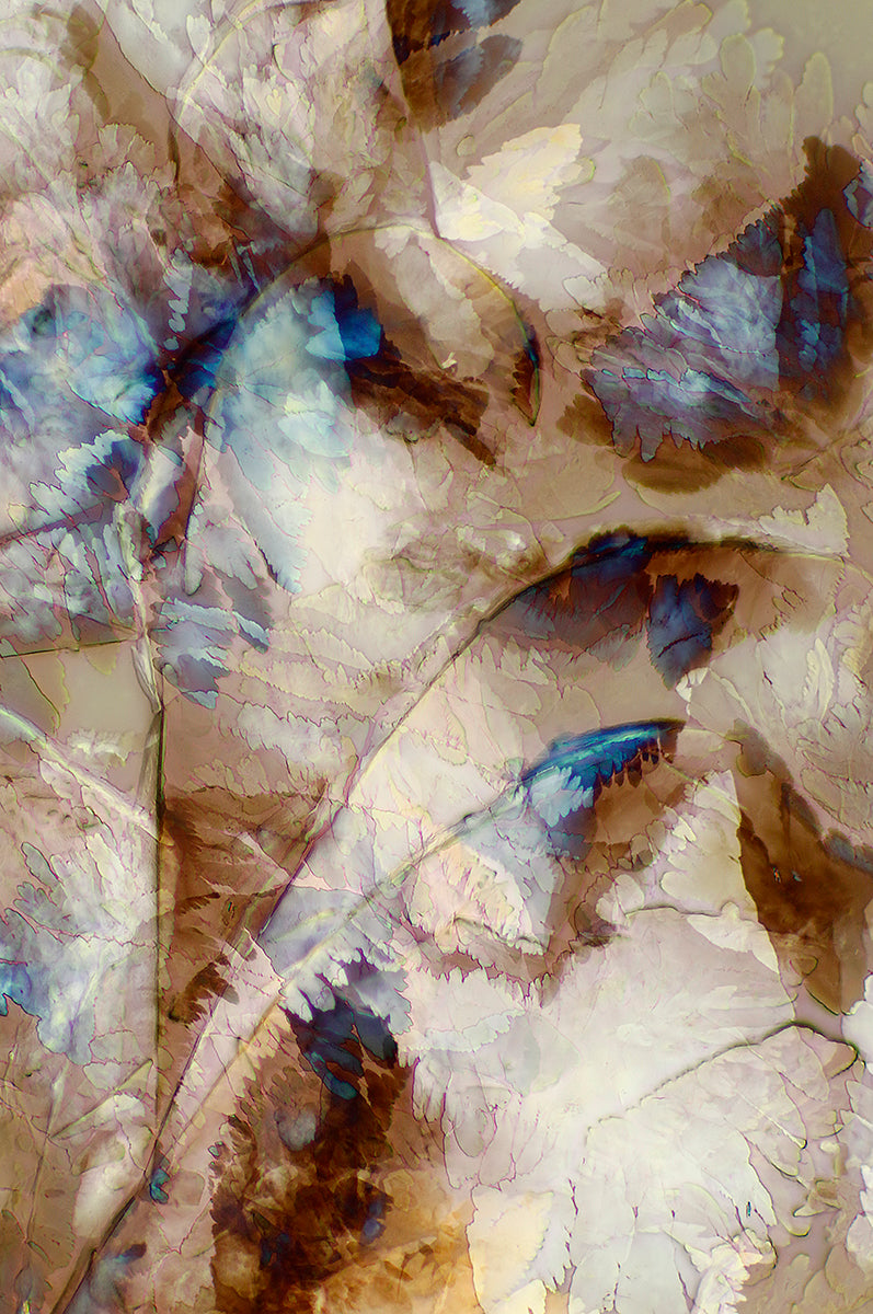 "DELICATE BALANCE" -Photograph of crystalline resveratrol found in wine