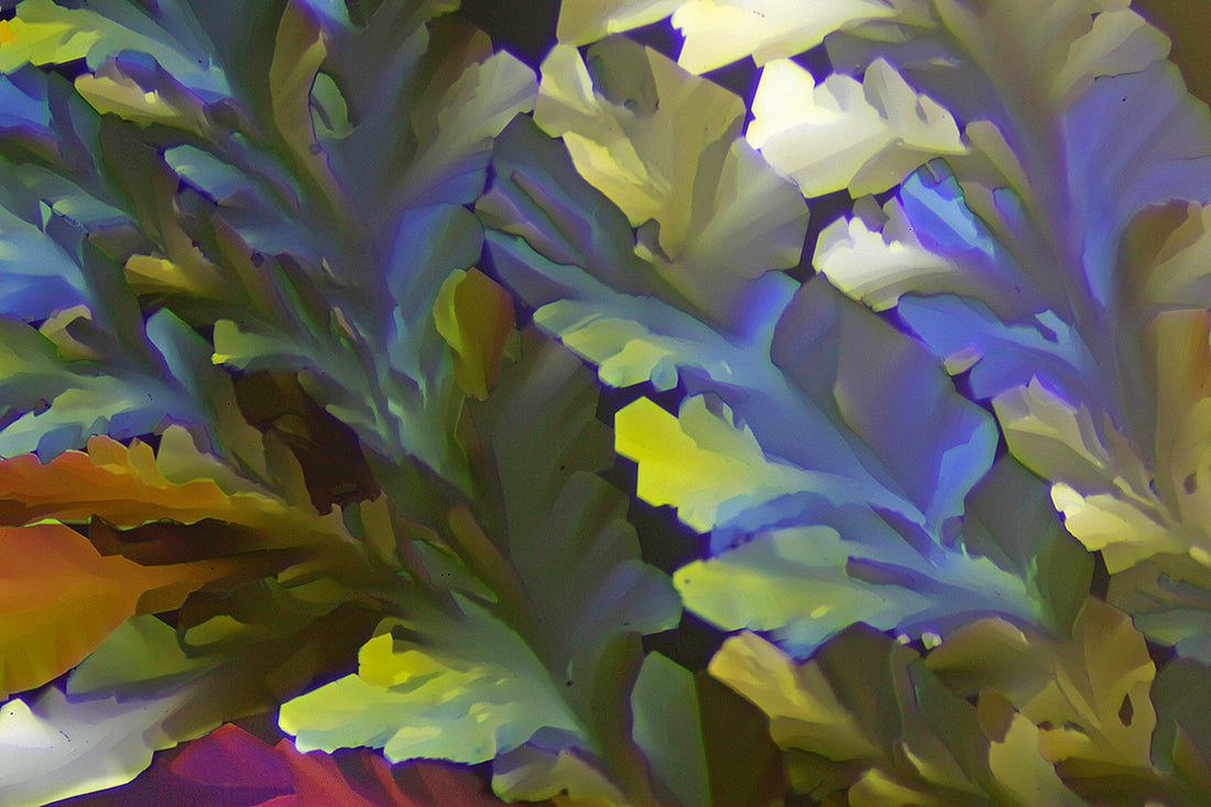 &quot;WONDERLAND&quot; -Photograph of crystalline THC found in cannabis