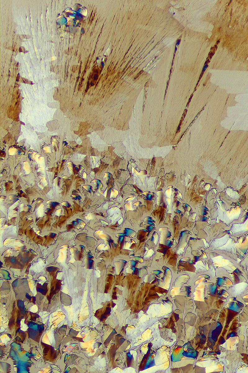 &quot;MEADOWLAND 1&quot; -Photograph of crystalline acetaminophen found in Tylenol®