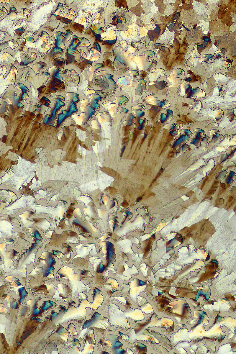 &quot;MEADOWLAND 2&quot; -Photograph of crystalline acetaminophen found in Tylenol®
