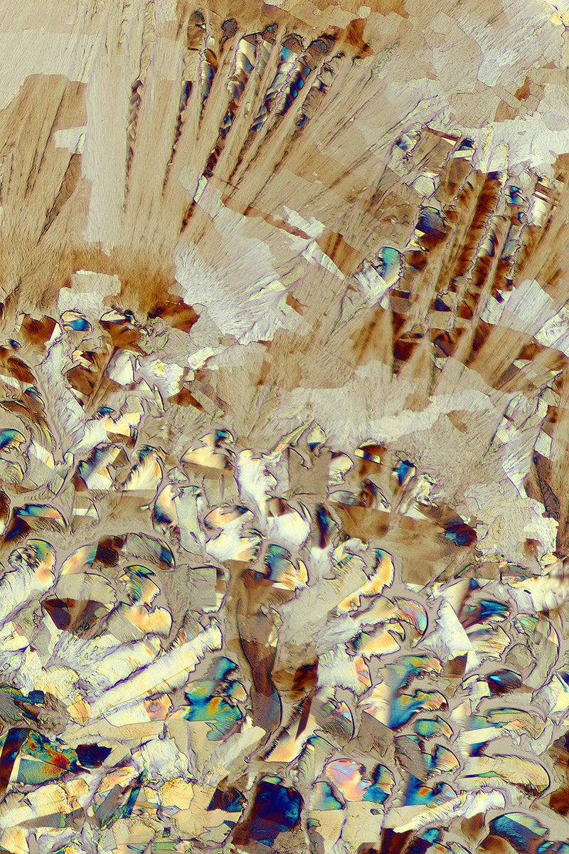 &quot;MEADOWLAND 3&quot; -Photograph of crystalline acetaminophen found in Tylenol®